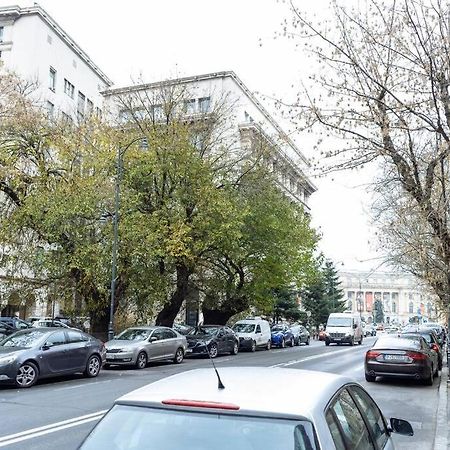 La Dame Bleue Apartment Bucureşti Exterior foto